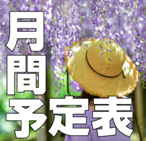 2025年5月上旬～6月末のスケジュールの写真